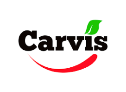 Carvis